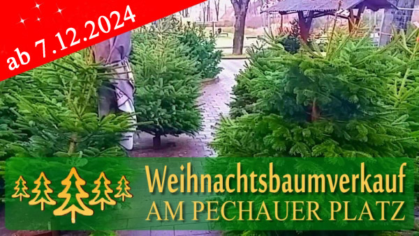 Weihnachtsbaumverkauf am Pechauer Platz